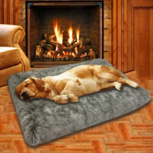 Dog Bed Sponge Comfort Plush Large Dog Bed Removable Non Slip Bottom